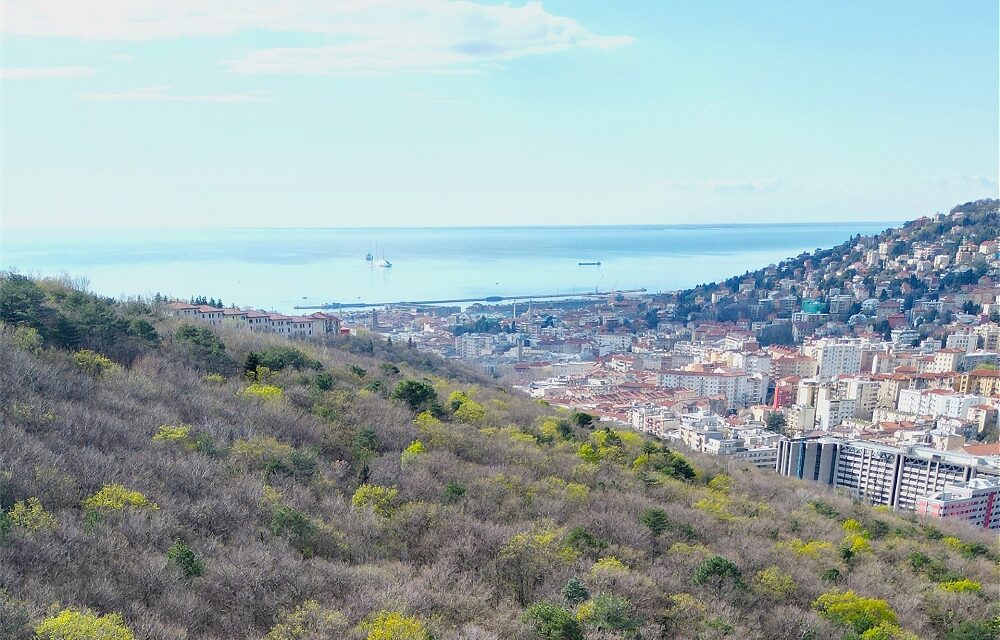 DOMENICA 21 SETTEMBRE ALLE ORE 9.30 AL PARCO FARNETO, NELL’AMBITO DELLA SETTIMANA EUROPEA DELLA MOBILITÀ, RITORNA IL PROGETTO “SALUTE TRA TERRA E MARE” CON L’OBIETTIVO DI INFORMARE LA CITTADINANZA SUL LEGAME INDISSOLUBILE TRA SALUTE, PREVENZIONE E TERRITORIO