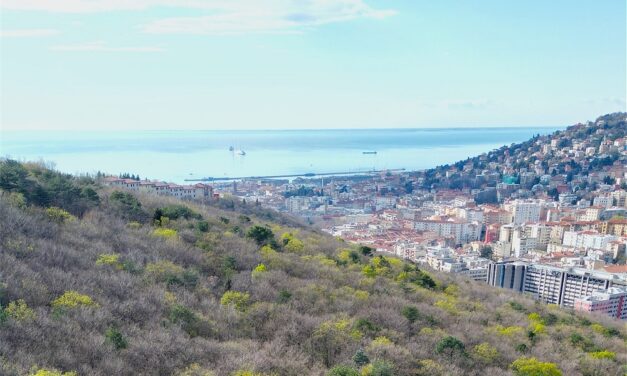 “SETTIMANA EUROPEA DELLA MOBILITÀ”:DOMENICA 21 SETTEMBRE ALLE ORE 9.30 AL PARCO FARNETO SECONDO APPUNTAMENTO DEL PROGETTO “SALUTE TRA TERRA E MARE” PER INFORMARE LA CITTADINANZA SUL LEGAME INDISSOLUBILE TRA SALUTE, PREVENZIONE E TERRITORIO