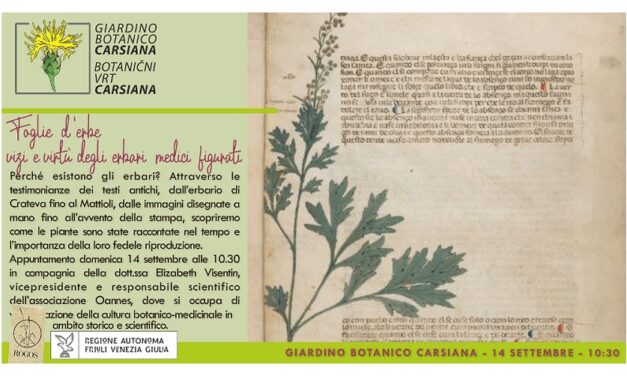 Fogli-e d’erbe: vizi e virtù degli erbari medici figurati al Giardino botanico Carsiana