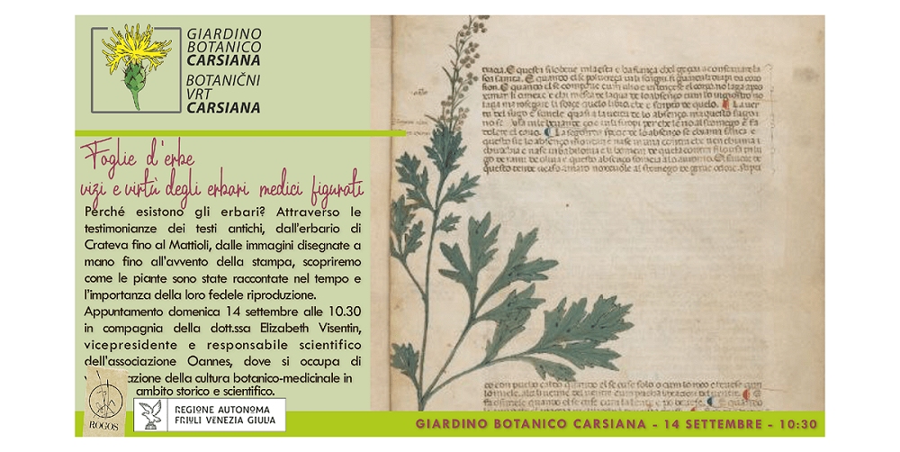 Fogli-e d’erbe: vizi e virtù degli erbari medici figurati al Giardino botanico Carsiana