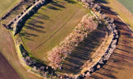 ALLA SCOPERTA DEL CASTELLIERE E DELLA TUMBARE. MERETO RACCONTA LA SUA STORIA MILLENARIA