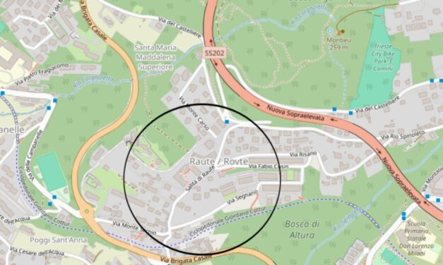 NELLA TARDA SERATA DI DOMANI, GIOVEDÌ 18 SETTEMBRE, LA ZONA DA VIA DEL CASTELLIERE SINO A VIA BRIGATA CASALE SARÀ INTERESSATA DA INTERVENTI DI DISINFESTAZIONE A SEGUITO DI UN CASO ACCERTATO DI DENGUE