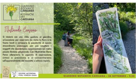 Disegnare Carsiana