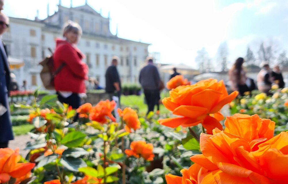 Sabato 13 e domenica 14 settembre la XXI edizione della rassegna “Nel Giardino del Doge Manin”: presentazioni di libri, visite guidate, attività per tutte le età e il meglio del florovivaismo italiano