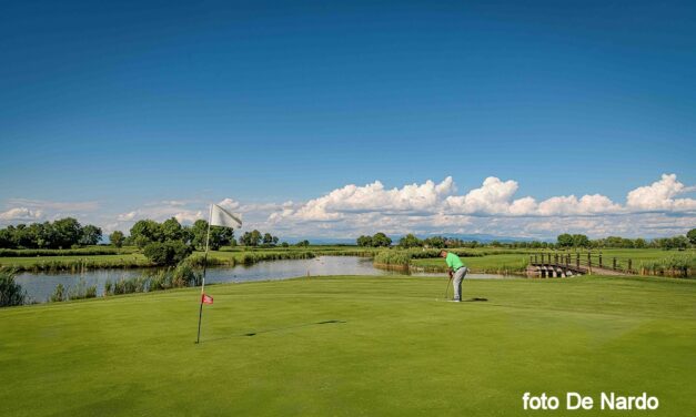 Natura e relax, tra Grado e dintorni
