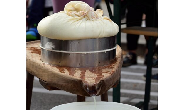 “Il Filo dei Sapori” 2025 accoglierà la Via delle Malghe e darà voce ai giovani con INNOVALP