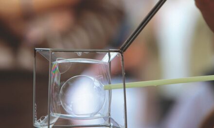Un mondo di bolle all’Immaginario Scientifico di Pordenone
