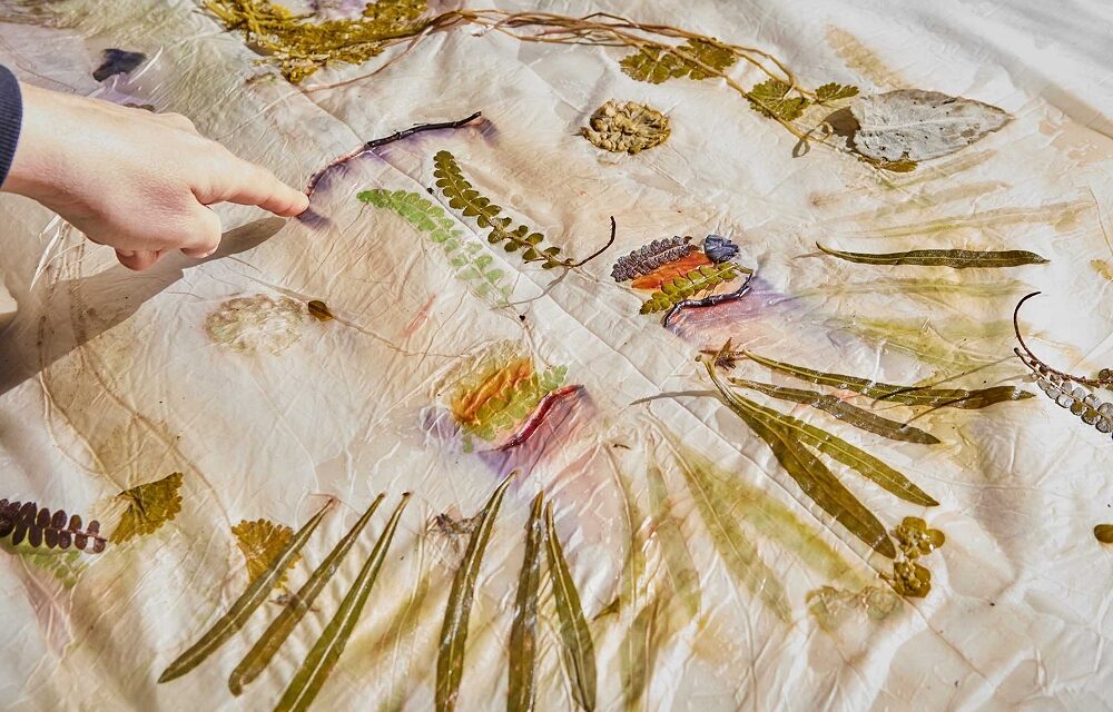 Settembre a Le(Serre: eventi fra arte, natura e comunità