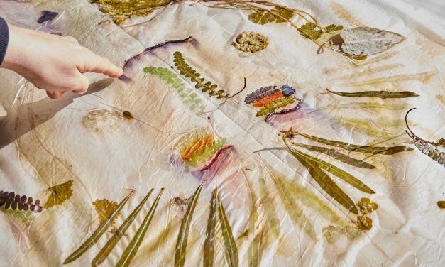 Settembre a Le(Serre: eventi fra arte, natura e comunità