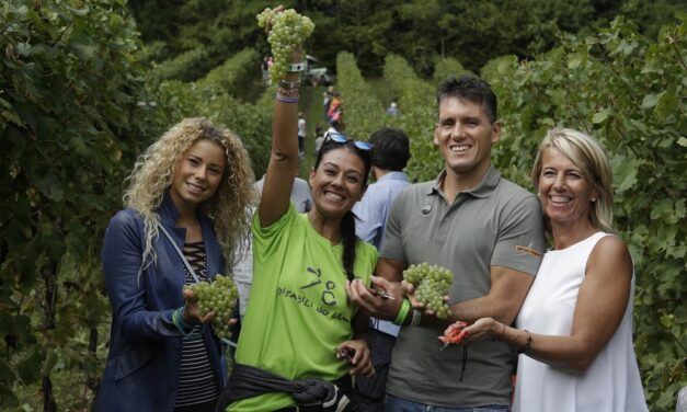 Le Manzane, 14ª ®️Vendemmia Solidale tra i filari della memoria e i semi di una scuola in Ghana