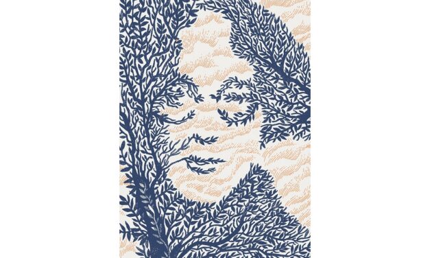 PIA VALENTINIS A TOLMEZZO PER LA MOSTRA “DI TANTI VOLTI”: ATTESO UN LABORATORIO CREATIVO PER BAMBINI IN OCCASIONE DELLA FESTA DELLA MELA