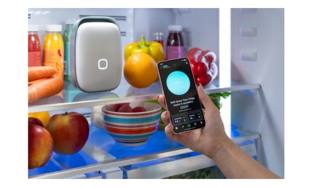 VITESY LANCIA IL NUOVO SHELFY, L’EVOLUZIONE POTENZIATA DEL DISPOSITIVO PER LA PURIFICAZIONE DEL FRIGORIFERO