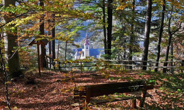 Turismo e sostenibilità: il Tarvisiano guida il progetto europeo Interreg INDIALPS
