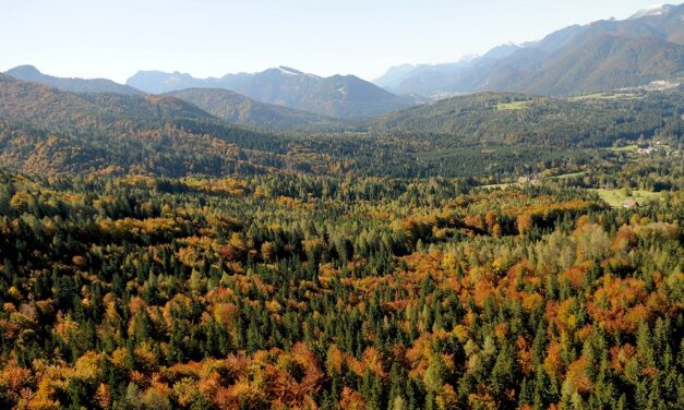 AUTUNNO A TARVISIO, TUTTI I SENTIERI DEL FOLIAGE
