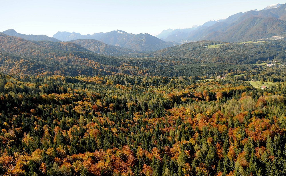 AUTUNNO A TARVISIO, TUTTI I SENTIERI DEL FOLIAGE