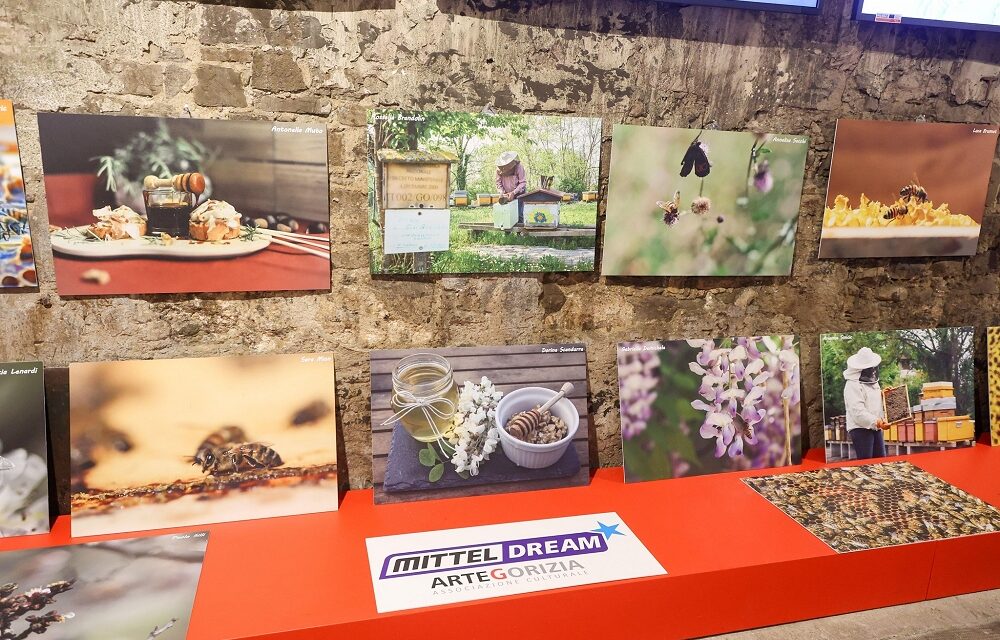 VERDE CAPITALE: API E BIODIVERSITÀ PROTAGONISTE DEL WEEKEND GORIZIANO