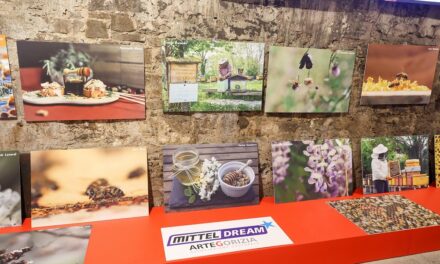 VERDE CAPITALE: API E BIODIVERSITÀ PROTAGONISTE DEL WEEKEND GORIZIANO