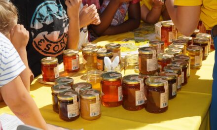 COMUNE DI GORIZIA: A VERDE CAPITALE “GOBEES, API IN CITTÀ” PROMUOVE L’APICOLTURA LOCALE
