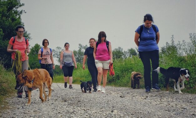 Fagagna si prepara per la prima edizione di “Woofstock”, il nuovissimo festival cino-musicale tra concerti, passeggiate a sei zampe e cultura cinofila