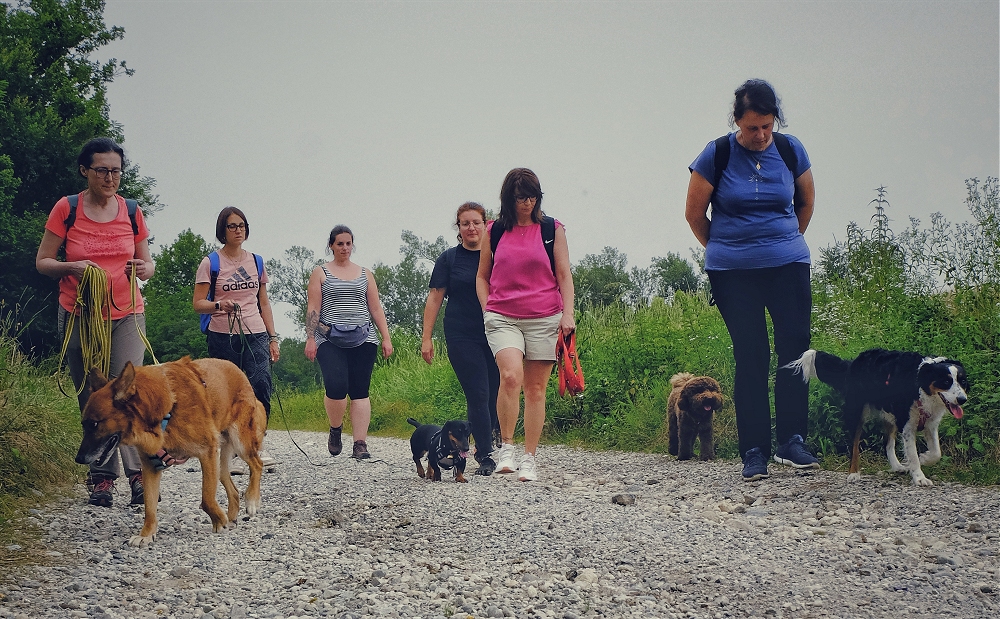 Fagagna si prepara per la prima edizione di “Woofstock”, il nuovissimo festival cino-musicale tra concerti, passeggiate a sei zampe e cultura cinofila