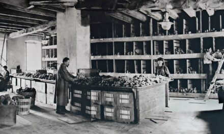 “Progetto Botteghe Scuola Artigiane”: nasce la collaborazione tra Confartigianato Trieste e Università Popolare di Trieste