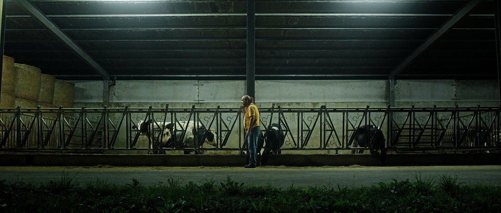 Al via la rassegna cinematografica Brenta Connection