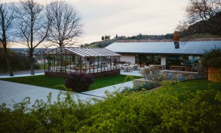 TECNOLOGIA, IDENTITÀ E NUOVE GENERAZIONI: A CORMÒNS SI PARLA DEL FUTURO DEL VINO