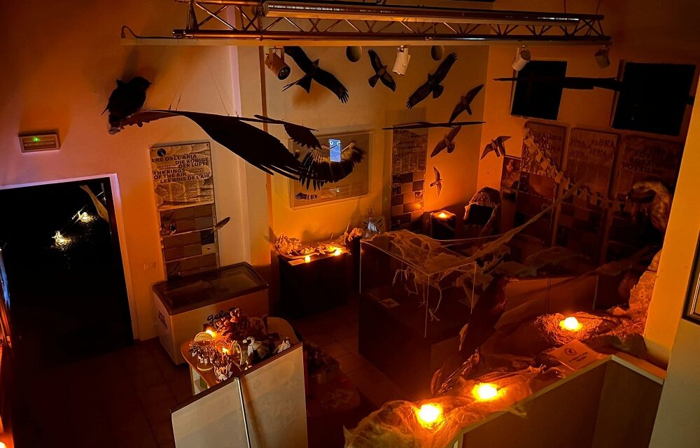 HALLOWEEN DA BRIVIDO TRA I RAPACI E LE CREATURE NOTTURNE ALLA RISERVA DI CORNINO: IL 31 OTTOBRE SPECIALE EVENTO PER I PIU’ PICCOLI