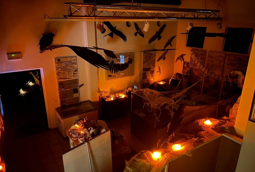 HALLOWEEN DA BRIVIDO TRA I RAPACI E LE CREATURE NOTTURNE ALLA RISERVA DI CORNINO: IL 31 OTTOBRE SPECIALE EVENTO PER I PIU’ PICCOLI