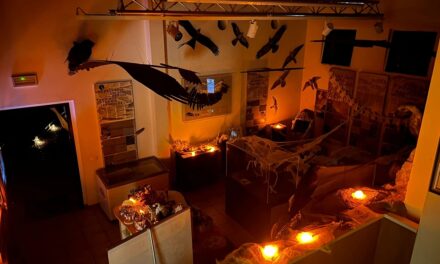 HALLOWEEN DA BRIVIDO TRA I RAPACI E LE CREATURE NOTTURNE ALLA RISERVA DI CORNINO: IL 31 OTTOBRE SPECIALE EVENTO PER I PIU’ PICCOLI