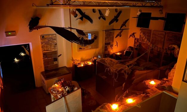 HALLOWEEN DA BRIVIDO TRA I RAPACI E LE CREATURE NOTTURNE ALLA RISERVA DI CORNINO: IL 31 OTTOBRE SPECIALE EVENTO PER I PIU’ PICCOLI