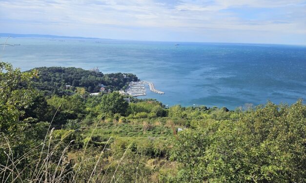Per “Sapori del Carso” con Curiosi di natura in occasione della Barcolana ESCURSIONE A CONTOVELLO TRA I VIGNETI con degustazione