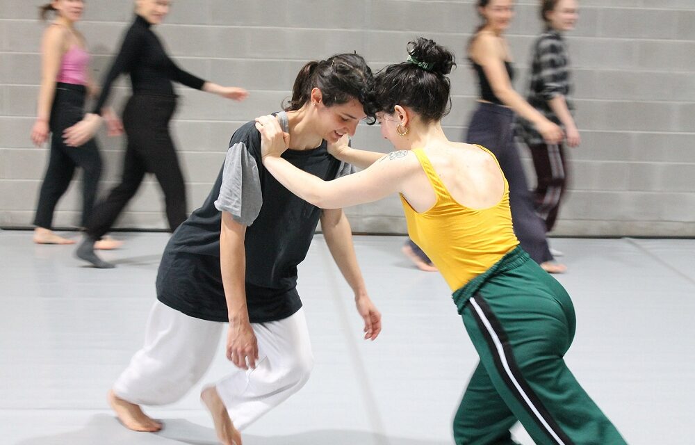Udine accende i riflettori sulla nuova danza con il primo Dance Out di Arearea