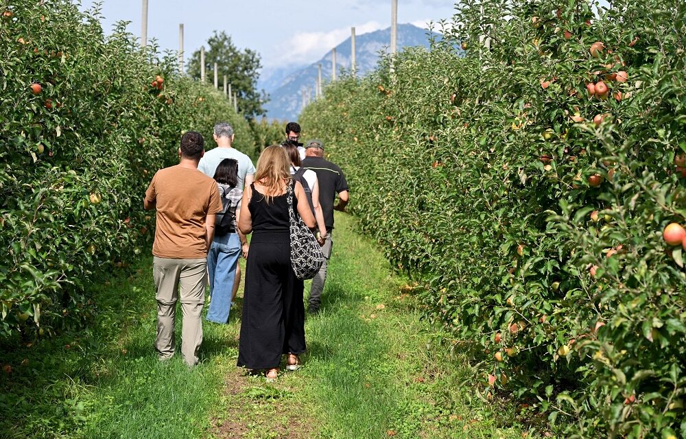 Lunedì 20 ottobre, secondo tour del progetto Dica’