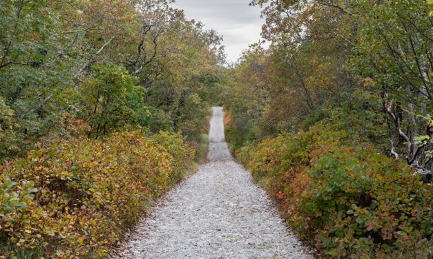 “Walk of Peace +” : nasce il museo all’aperto transfrontaliero del Monte Ermada/Grmada