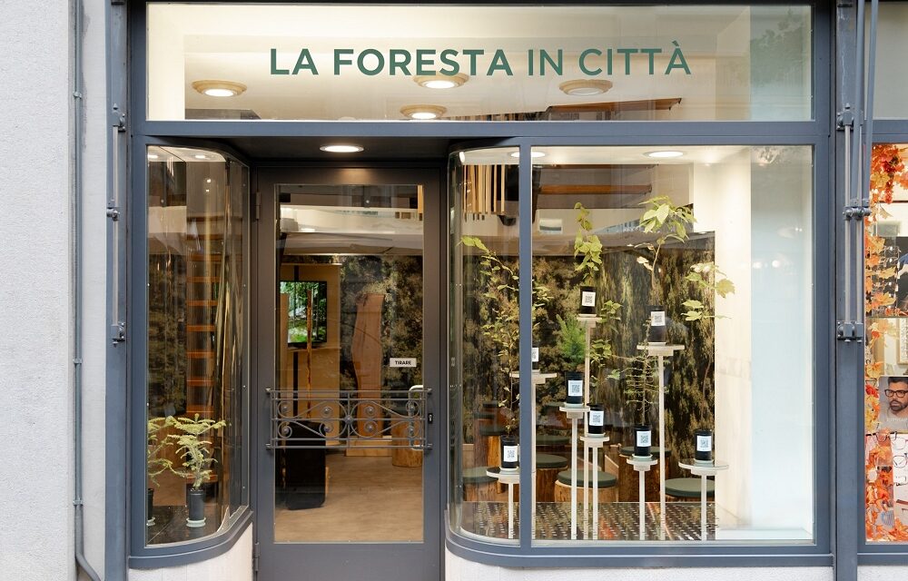 Cluster Arredo Fvg, Barcolana Days: Trieste ospita “Da pietra a bosco” presso FORESTA in città