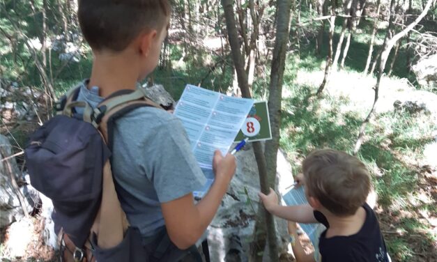 In Carso tra grotte e doline, alla scoperta di un geomondo (Aurisina)