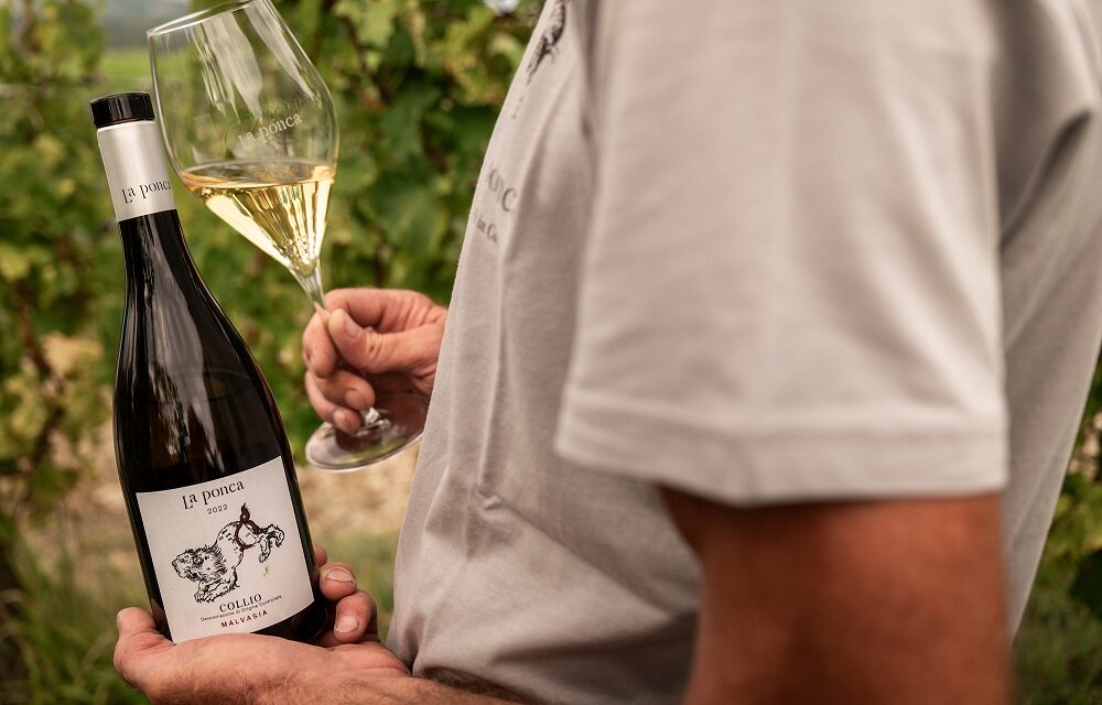 La Ponca Malvasia Collio DOC: espressione integra di un territorio unico come quello alle pendici del Collio