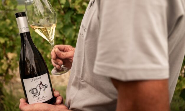 La Ponca Malvasia Collio DOC: espressione integra di un territorio unico come quello alle pendici del Collio