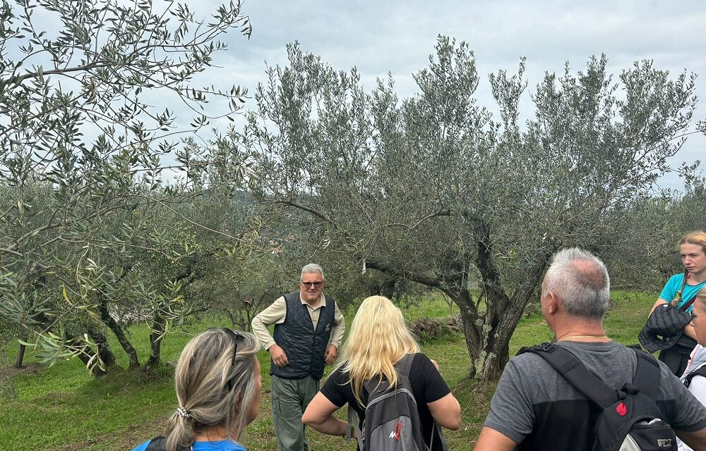 A Muggia torna la Camminata tra gli olivi