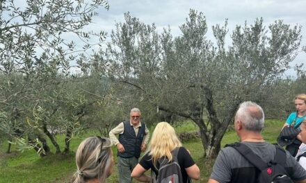 A Muggia torna la Camminata tra gli olivi