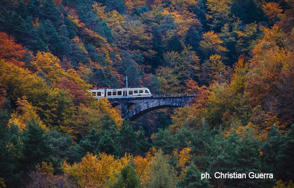 I mille colori dell’Alto Piemonte: dal foliage autunnale alla magia del Natale la natura si fa spettacolo