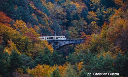 I mille colori dell’Alto Piemonte: dal foliage autunnale alla magia del Natale la natura si fa spettacolo