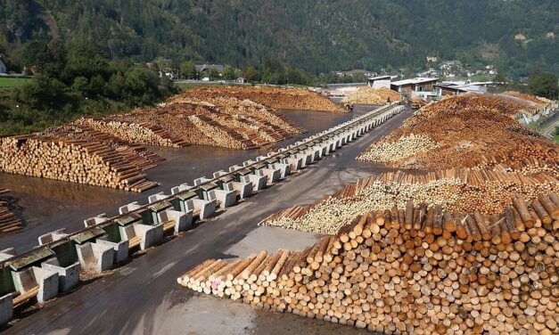 In Carinzia debutta la SAWBOX, nuova tecnologia per la filiera legno dell’Alpe-Adria