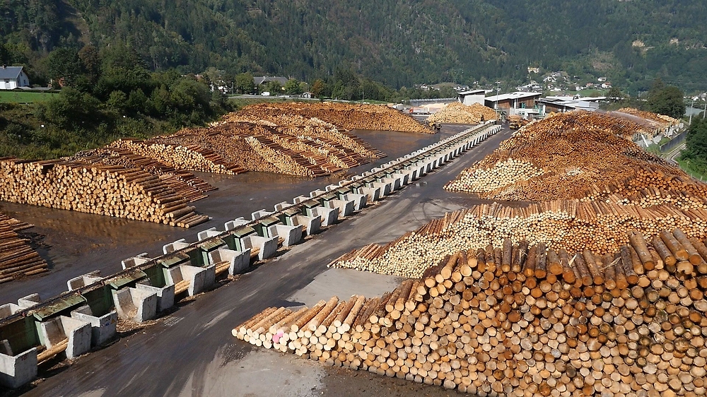 In Carinzia debutta la SAWBOX, nuova tecnologia per la filiera legno dell’Alpe-Adria