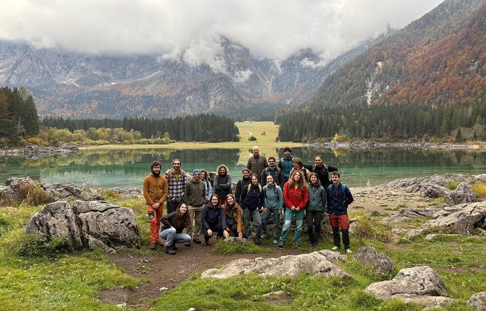 Studenti di Scienze forestali e ambientali da tutta Italia in Friuli per il quinto Workshop AUSF sulla filiera forestale