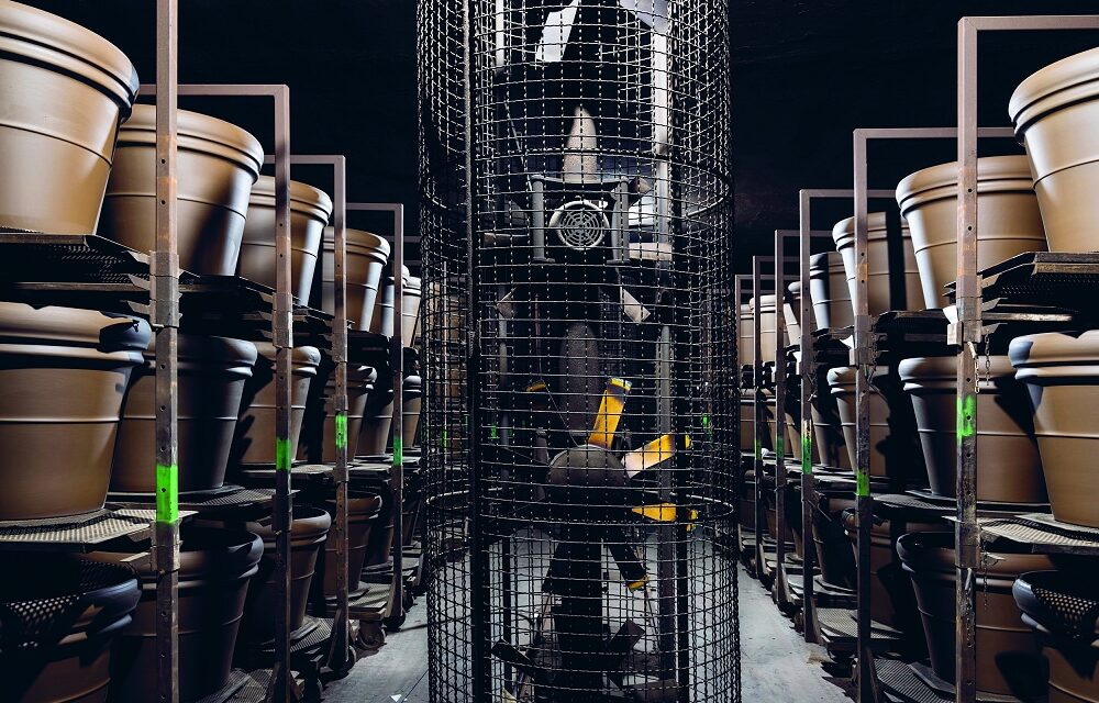 VICENZA: IL COLOSSO DEI VASI IN TERRACOTTA FORMA E ASSUME CARRELLISTI, INTROVABILI SUL MERCATO