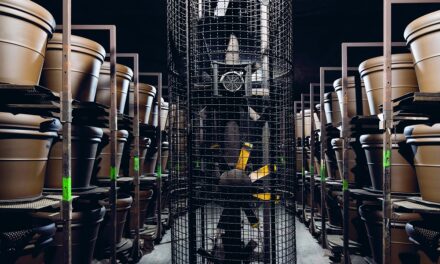 VICENZA: IL COLOSSO DEI VASI IN TERRACOTTA FORMA E ASSUME CARRELLISTI, INTROVABILI SUL MERCATO