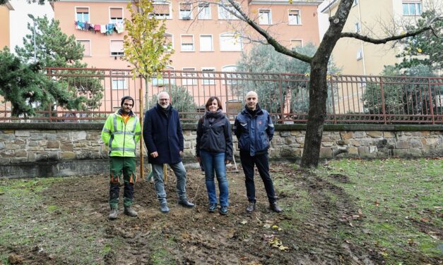 “GIORNATA NAZIONALE DEGLI ALBERI”: IL COMUNE DI TRIESTE METTE A DIMORA DUE NUOVI ALBERI PER CIASCUNA DELLE SETTE CIRCOSCRIZIONI, DEDICATI SIMBOLICAMENTE AI NUOVI NATI E ALLE NUOVE NATE DEL 2025
