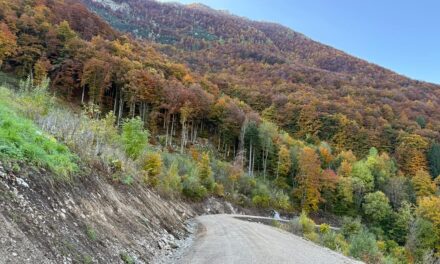 Barcis, viabilità forestale valore aggiunto per il turismo